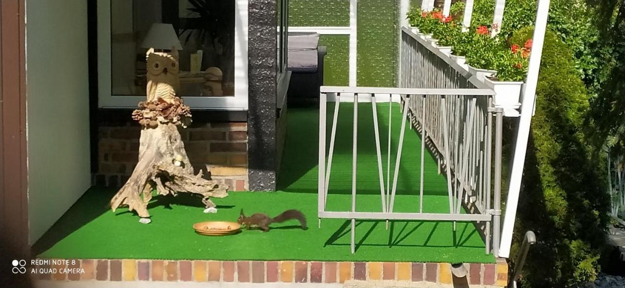 Ferienhaus Giesela **** Wernigerode Kültér fotó